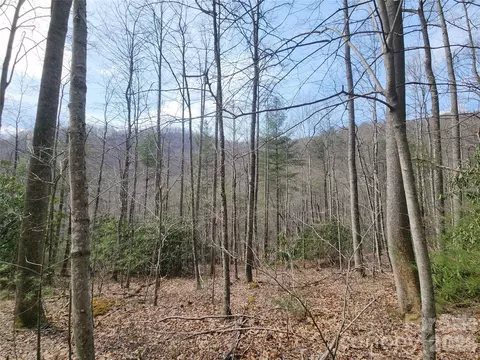 9999 Burnette Reeves Rd, Leicester, NC 28748