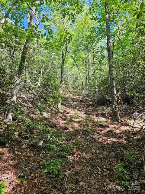 101 Arbor View Dr, Marion, NC 28752