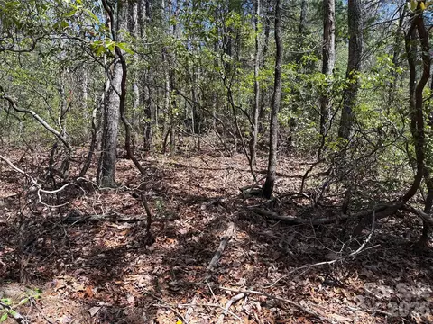 Casey Mountain 213 Road #213, Purlear, NC 28665 photo 9