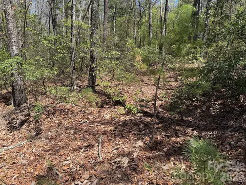 Casey Mountain 213 Road #213, Purlear, NC 28665 photo 15