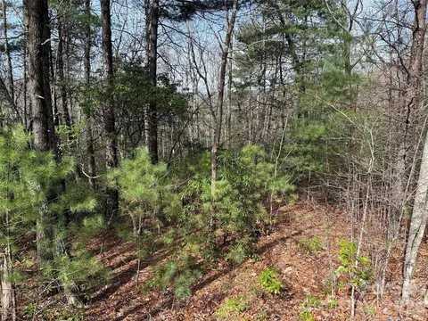 Casey Mountain 213 Road #213, Purlear, NC 28665 photo 16