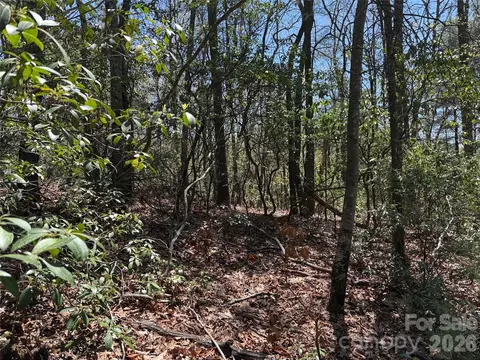 Casey Mountain 213 Road #213, Purlear, NC 28665 photo 8