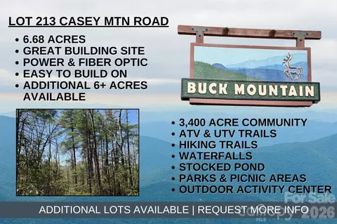 Casey Mountain 213 Road #213, Purlear, NC 28665