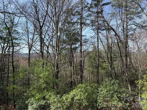 Casey Mountain 213 Road #213, Purlear, NC 28665 photo 2