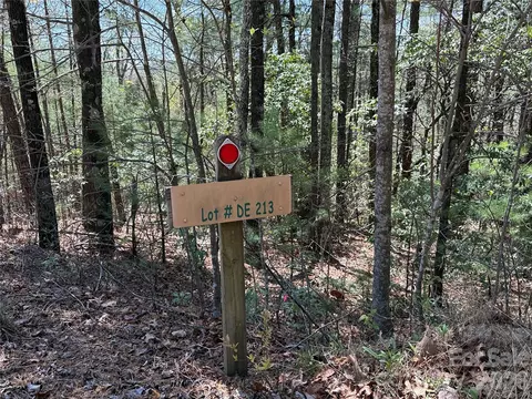 Casey Mountain 213 Road #213, Purlear, NC 28665 photo 4