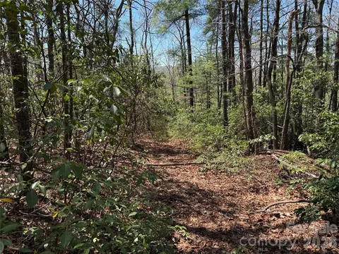 Casey Mountain 213 Road #213, Purlear, NC 28665 photo 6