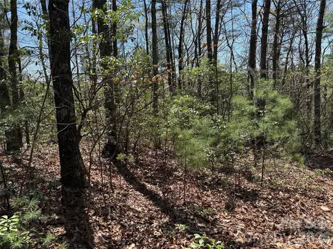 Casey Mountain 213 Road #213, Purlear, NC 28665 photo 10
