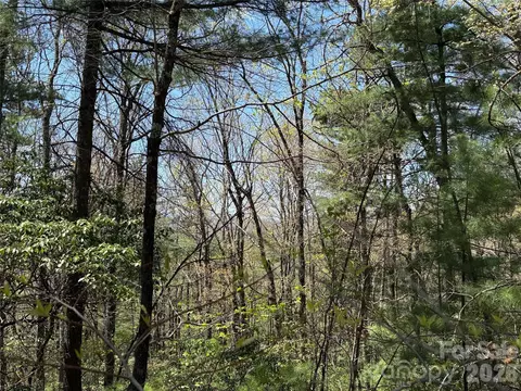 Casey Mountain 213 Road #213, Purlear, NC 28665 photo 14