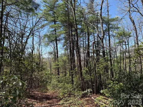 Casey Mountain 213 Road #213, Purlear, NC 28665 photo 7