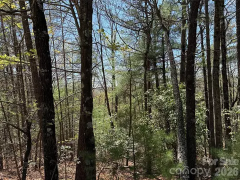 Casey Mountain 213 Road #213, Purlear, NC 28665 photo 13
