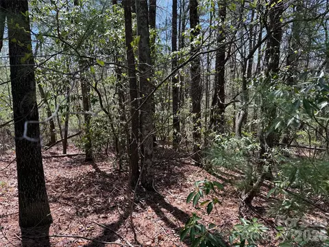 Casey Mountain 213 Road #213, Purlear, NC 28665 photo 12