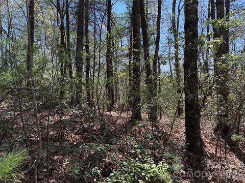Casey Mountain 213 Road #213, Purlear, NC 28665 photo 11