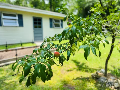 Other - 2618 Pineview Dr, Lancaster, SC 29720 photo 7 of 15