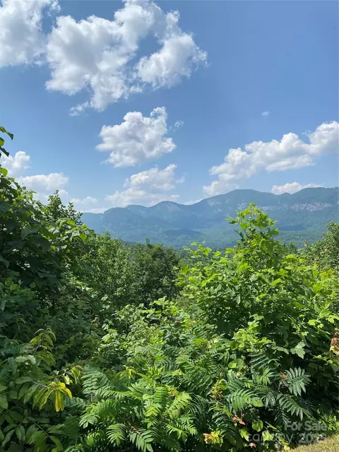 Highlands Drive, Lake Lure, NC 28746