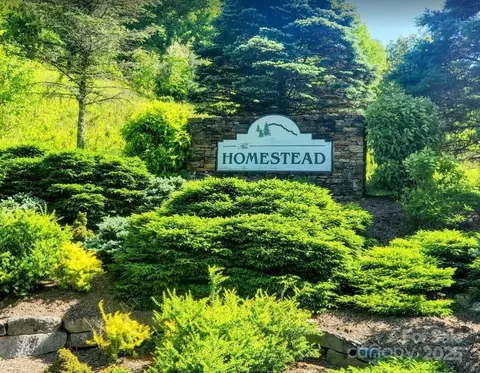 Lucky Leaf Lane, Vilas, NC 28692
