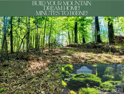 Lucky Leaf Lane, Vilas, NC 28692