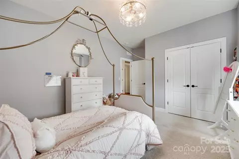 Other - 645 Brookhaven Dr, Fort Mill, SC 29708 photo 8 of 11