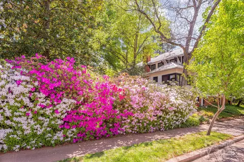 1801 E 8th St, Charlotte, NC 28204 photo 46