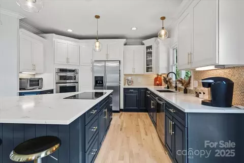 18745 Bluff Point Rd, Cornelius, NC 28031 photo 7
