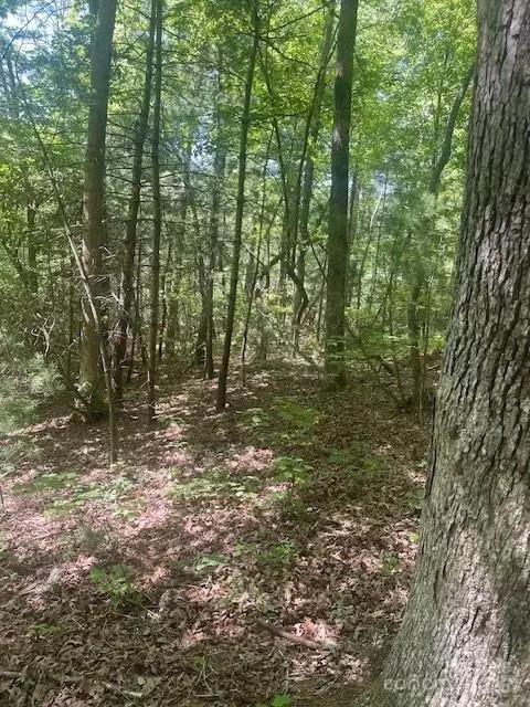Copperhead Trail, Hendersonville, NC 28739