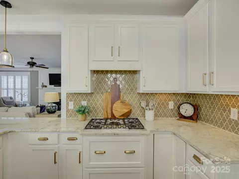 628 Bracket St, Fort Mill, SC 29708 photo 10