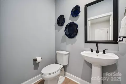 1237 Margo Mannor, Fort Mill, SC 29708 photo 21