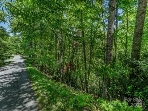 0000 Dotsi Dr, Brevard, NC 28712 photo 4