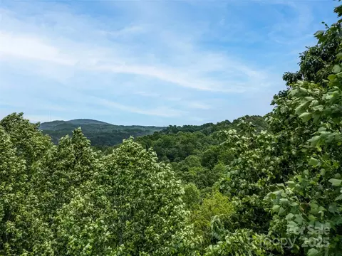 0000 Dotsi Dr, Brevard, NC 28712 photo 9