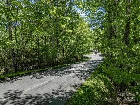 0000 Dotsi Dr, Brevard, NC 28712 photo 6