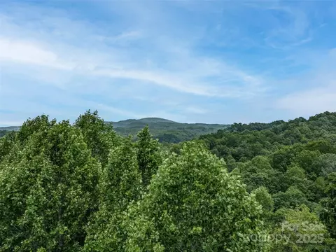 0000 Dotsi Dr, Brevard, NC 28712 photo 8
