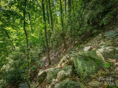 0000 Dotsi Dr, Brevard, NC 28712 photo 14