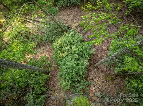 0000 Dotsi Dr, Brevard, NC 28712 photo 11