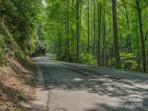 0000 Dotsi Dr, Brevard, NC 28712 photo 7