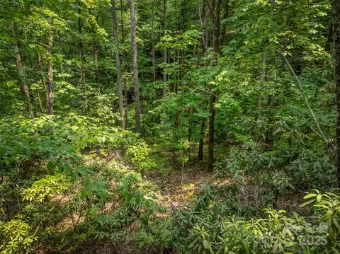 0000 Dotsi Dr, Brevard, NC 28712 photo 12