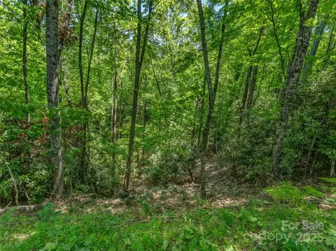 0000 Dotsi Dr, Brevard, NC 28712 photo 13