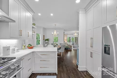 20312 Deep Cove Ct, Cornelius, NC 28031 photo 11