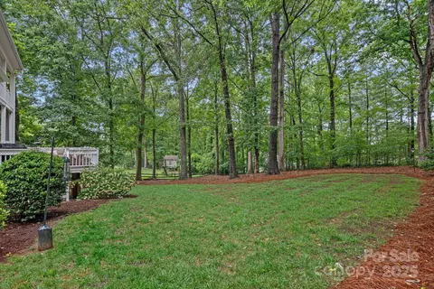 20312 Deep Cove Ct, Cornelius, NC 28031 photo 39