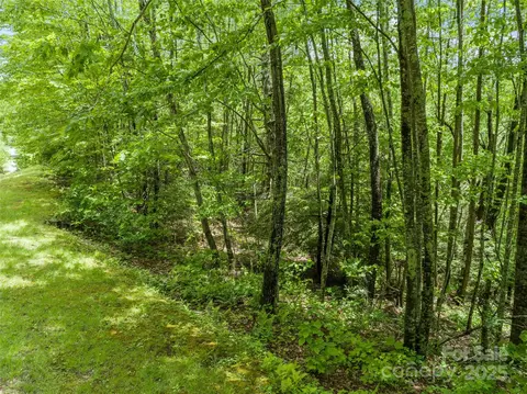 000 N Ridge Runner 92 Rd #92, Burnsville, NC 28714