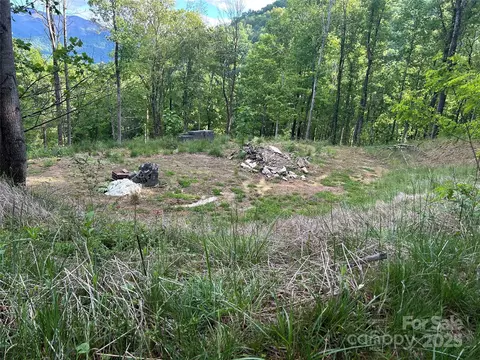 455 Spring Valley 43 And 44 Dr #43 AND 44, Waynesville, NC 28786