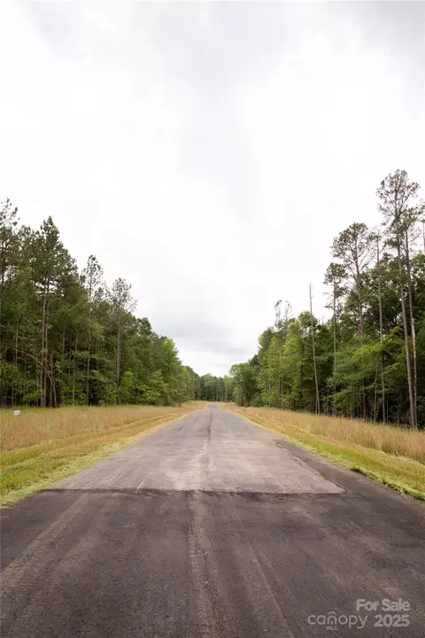 Great Blue Path, Clover, SC 29710 photo 26