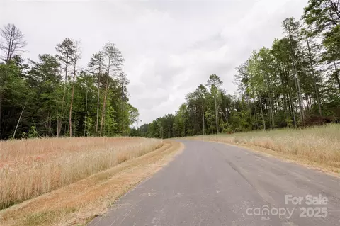 Great Blue Path, Clover, SC 29710 photo 20