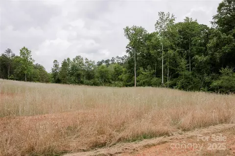 Great Blue Path, Clover, SC 29710 photo 16