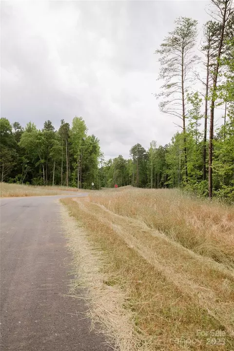 Great Blue Path, Clover, SC 29710 photo 24