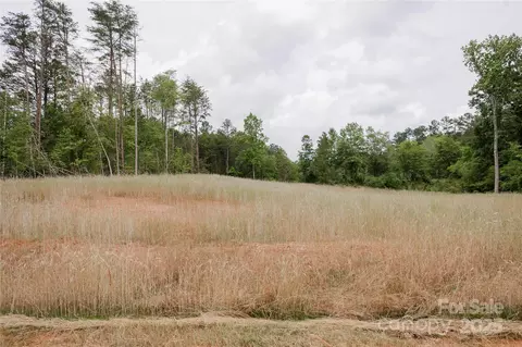 Great Blue Path, Clover, SC 29710 photo 15