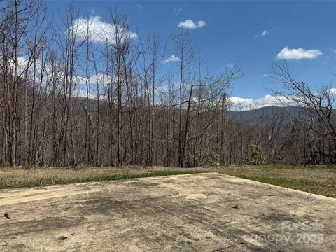 99999 Long Branch 2 Rd #2, Swannanoa, NC 28778