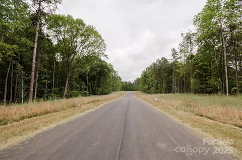 Great Blue Path, Clover, SC 29710 photo 13