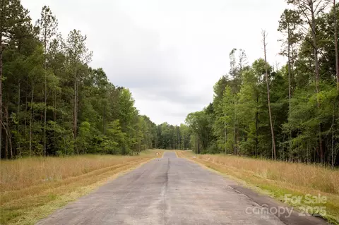 Great Blue Path, Clover, SC 29710 photo 15