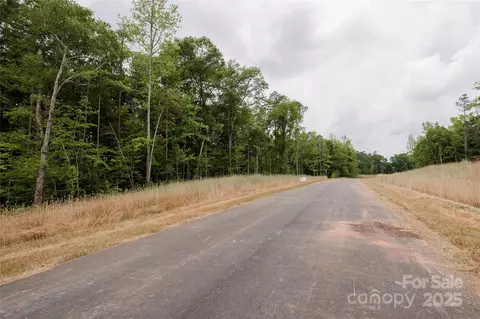 Great Blue Path, Clover, SC 29710 photo 11