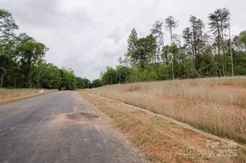 Great Blue Path, Clover, SC 29710 photo 10