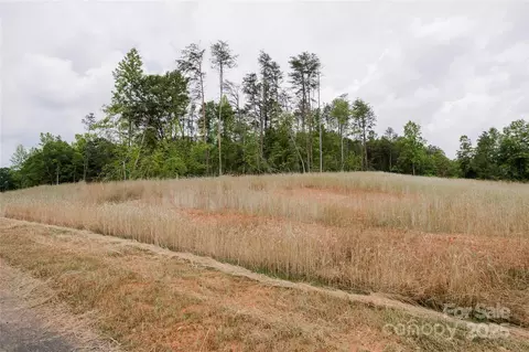 Great Blue Path, Clover, SC 29710 photo 9